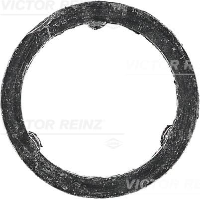 VICTOR REINZ Tesnenie, kolektor výfuk. plynov 711012900 1