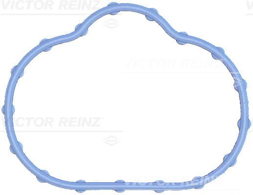 VICTOR REINZ Tesnenie kolena sac. potrubia 71-17497-00 1