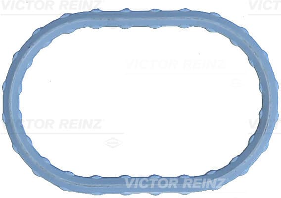 VICTOR REINZ Tesnenie kolena sac. potrubia 71-17498-00 1