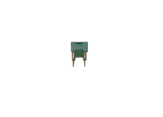 BOSCH Poistka 1 987 529 069 1