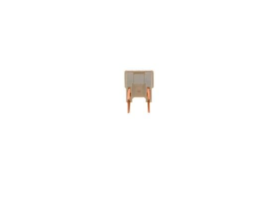 BOSCH Poistka 1 987 529 075 1