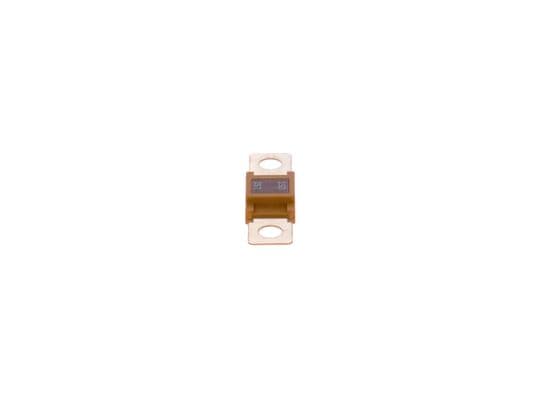BOSCH Poistka 1 987 531 002 1