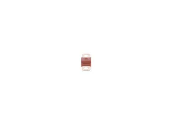 BOSCH Poistka 1 987 531 010 1