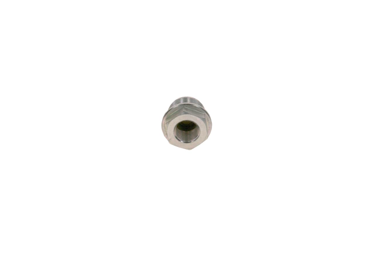 BOSCH Nátrubok 2443461020 1