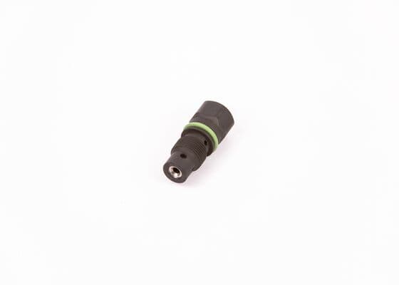BOSCH Ventil vstrekovacieho systému F 00N 202 450 1