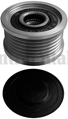 CONTITECH Voľnobežka alternátora AP9054 1