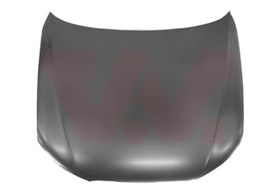VAN WEZEL Kapota motora 0307660 1