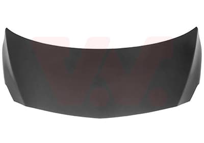 VAN WEZEL Kapota motora 2970660 1