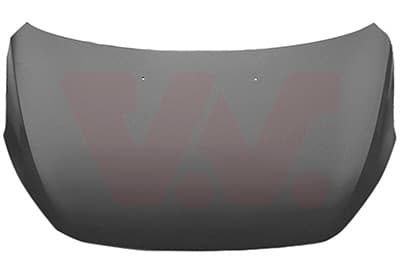 VAN WEZEL Kapota motora 3266660 1