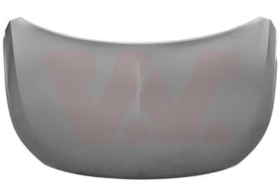 VAN WEZEL Kapota motora 3805670 1