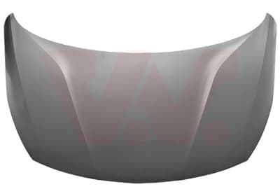 VAN WEZEL Kapota motora 3812660 1