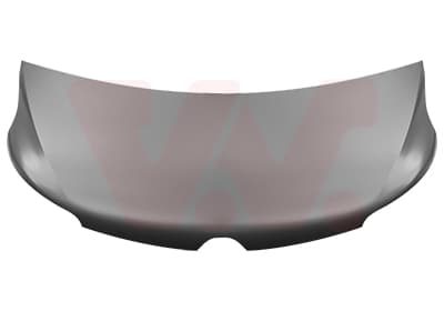 VAN WEZEL Kapota motora 4399660 1