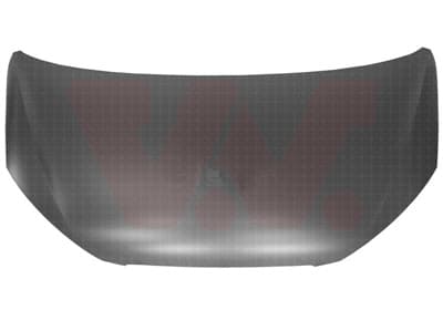 VAN WEZEL Kapota motora 4905660 1