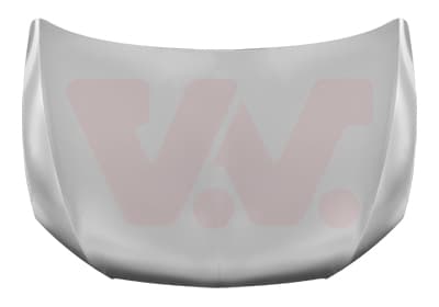 VAN WEZEL Kapota motora 4949660 1