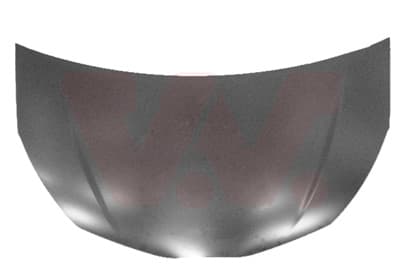 VAN WEZEL Kapota motora 5437660 1