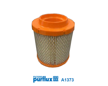 PURFLUX Vzduchový filter A1373 1