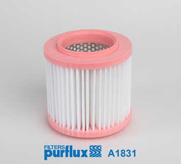 PURFLUX Vzduchový filter A1831 1