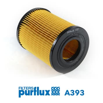 PURFLUX Vzduchový filter A393 1