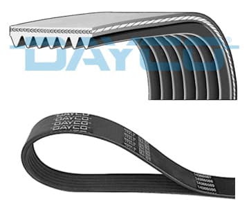 DAYCO Ozubený klinový remeň 7PK1179EE 1