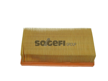 FRAM Vzduchový filter CA5613 1