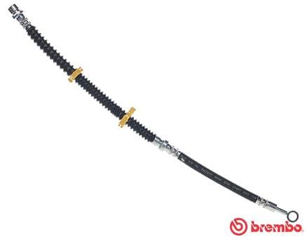 BREMBO Brzdová hadica T44031 1