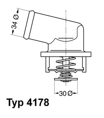WAHLER Termostat chladenia 417892D 1