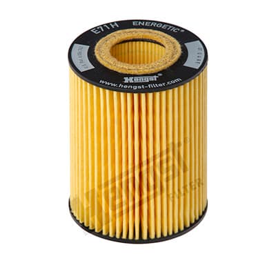 HENGST FILTER Olejový filter E71HD141 1