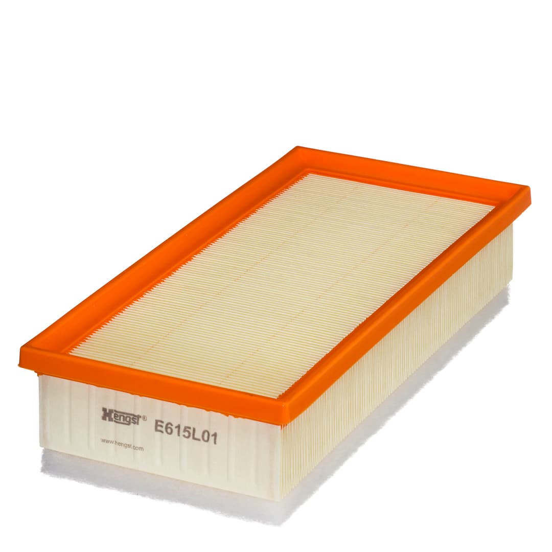 HENGST FILTER Vzduchový filter E615L01 1