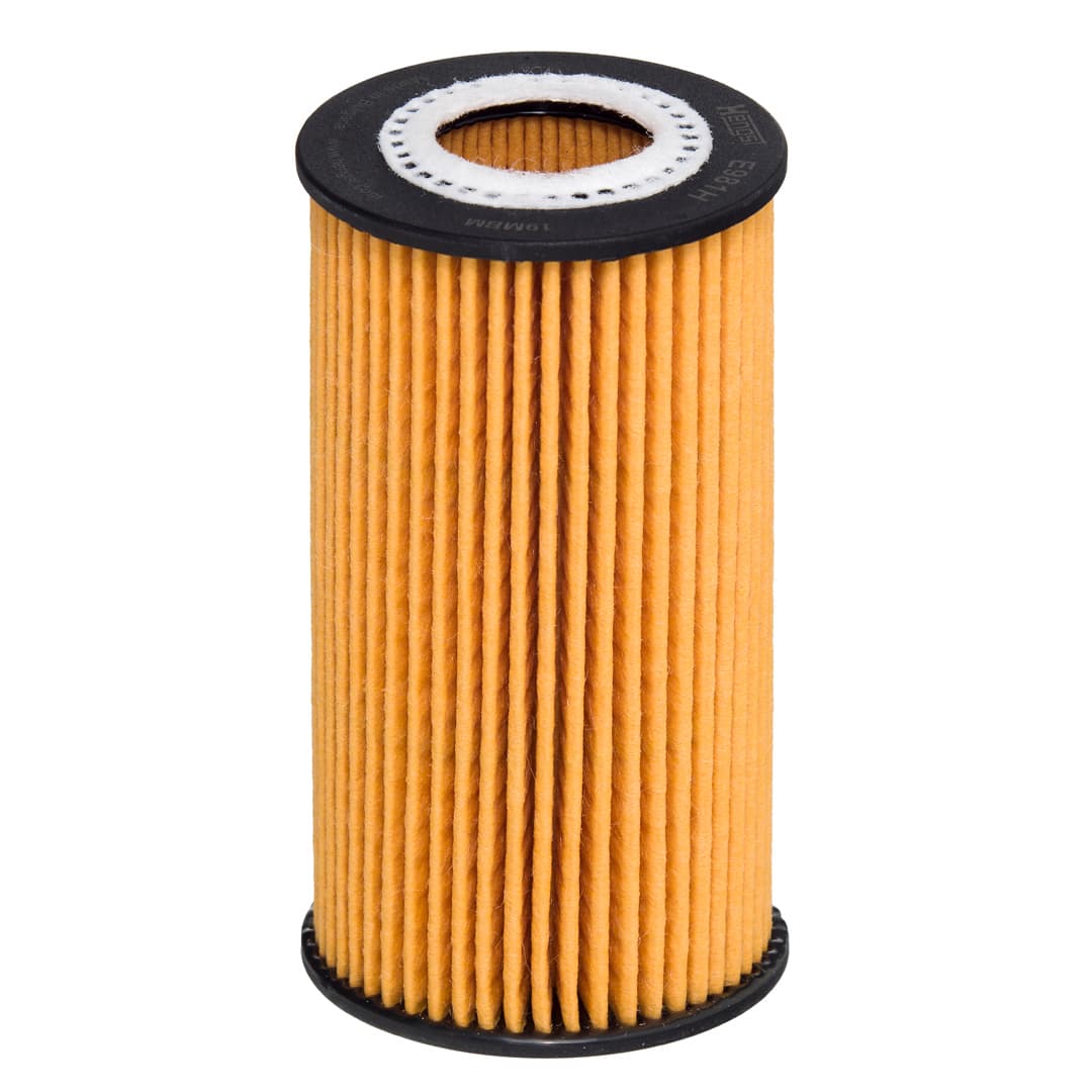HENGST FILTER Olejový filter E981H D529 1