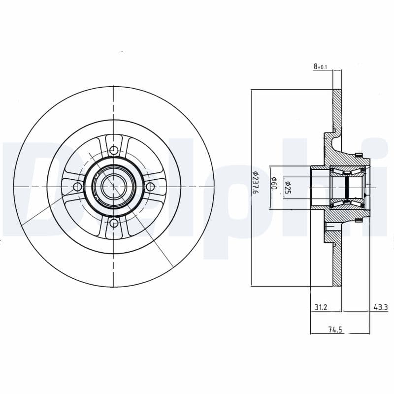DELPHI Brzdový kotúč BG9025RS 1