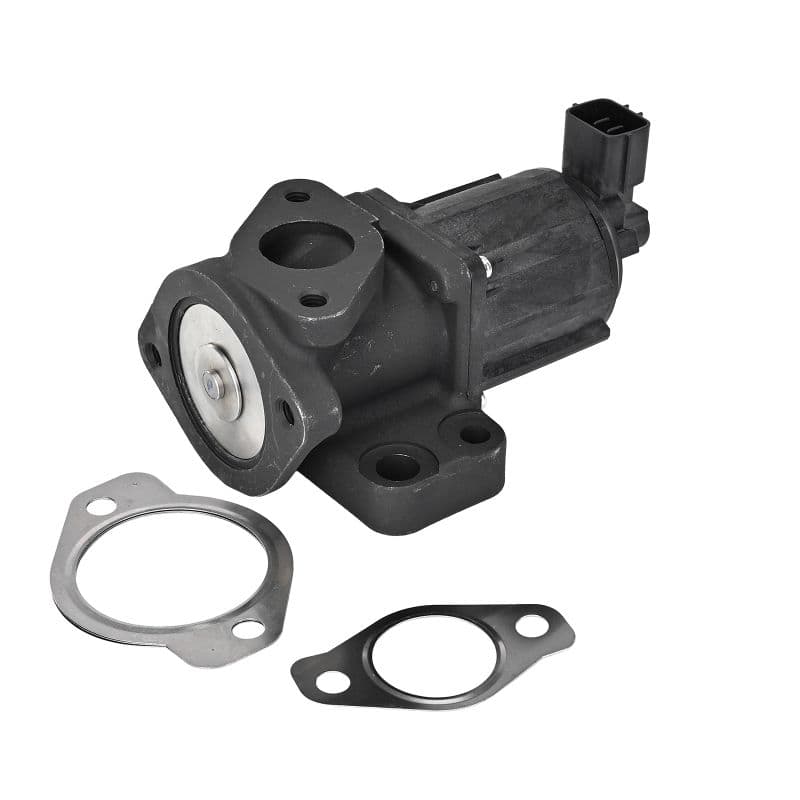 DELPHI AGR - Ventil EG10637-12B1 1