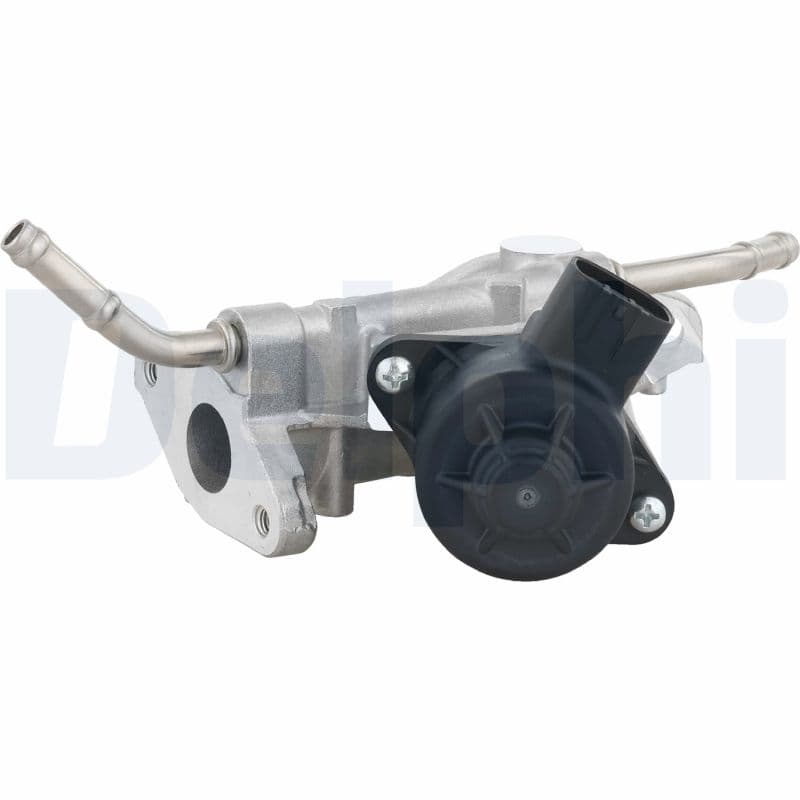 DELPHI AGR - Ventil EG10738-12B1 1