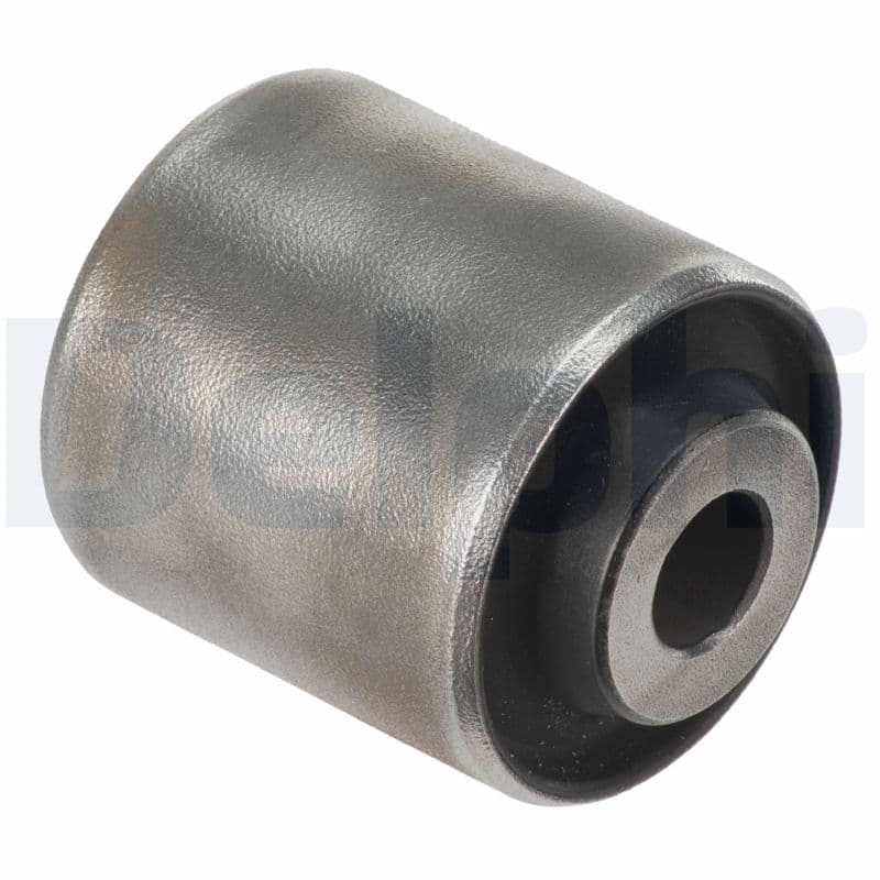 DELPHI Uloženie riadenia TD1004W 1