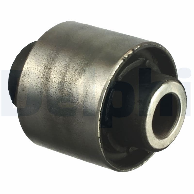 DELPHI Uloženie riadenia TD1058W 1
