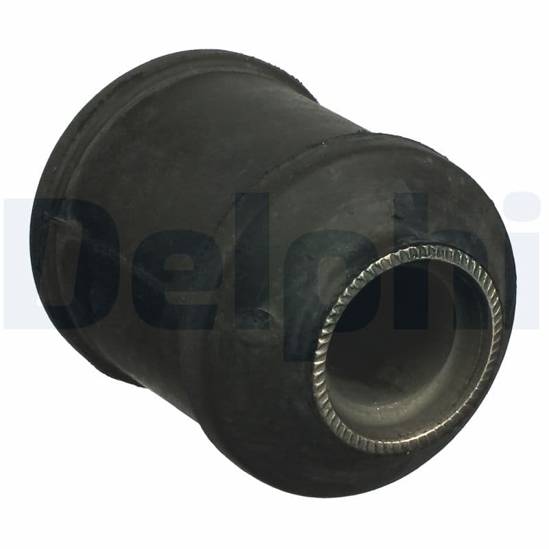 DELPHI Uloženie riadenia TD1061W 1