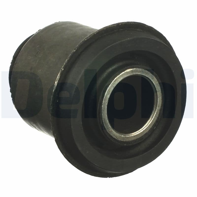 DELPHI Uloženie riadenia TD1063W 1
