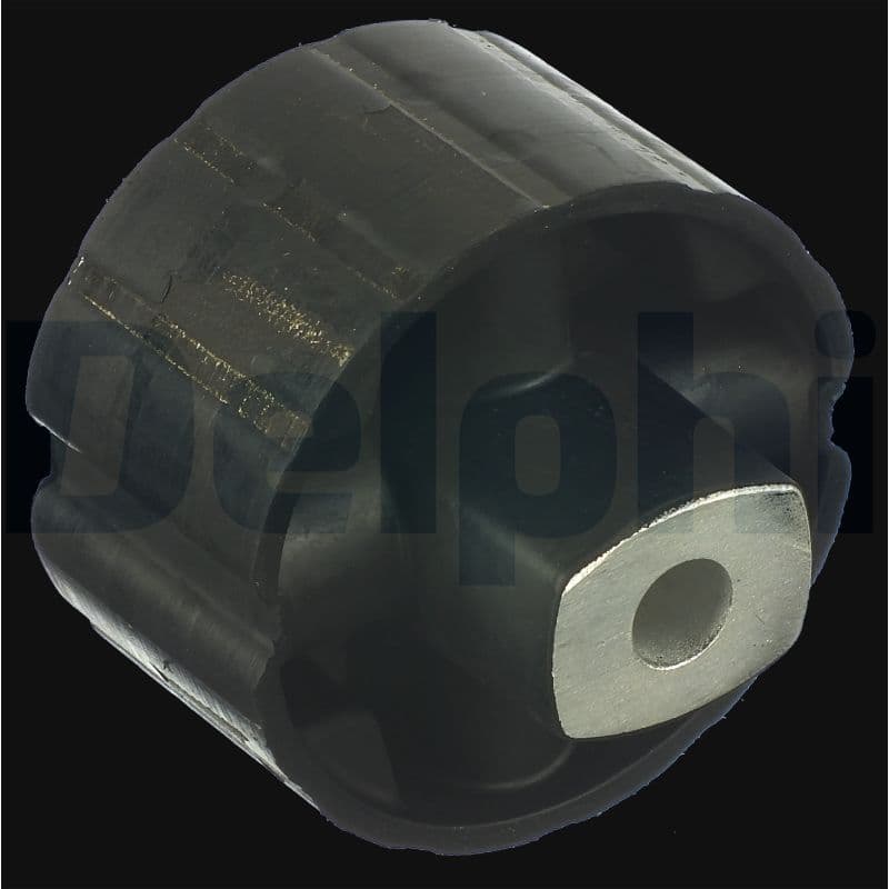 DELPHI Uloženie riadenia TD1075W 1