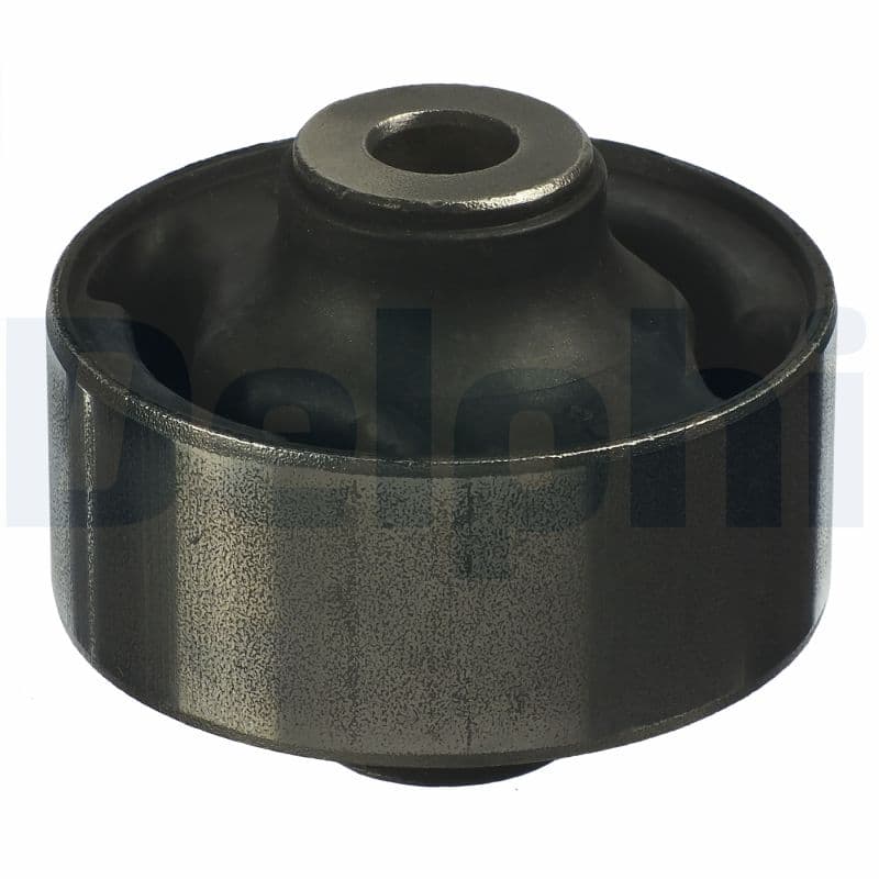 DELPHI Uloženie riadenia TD1098W 1