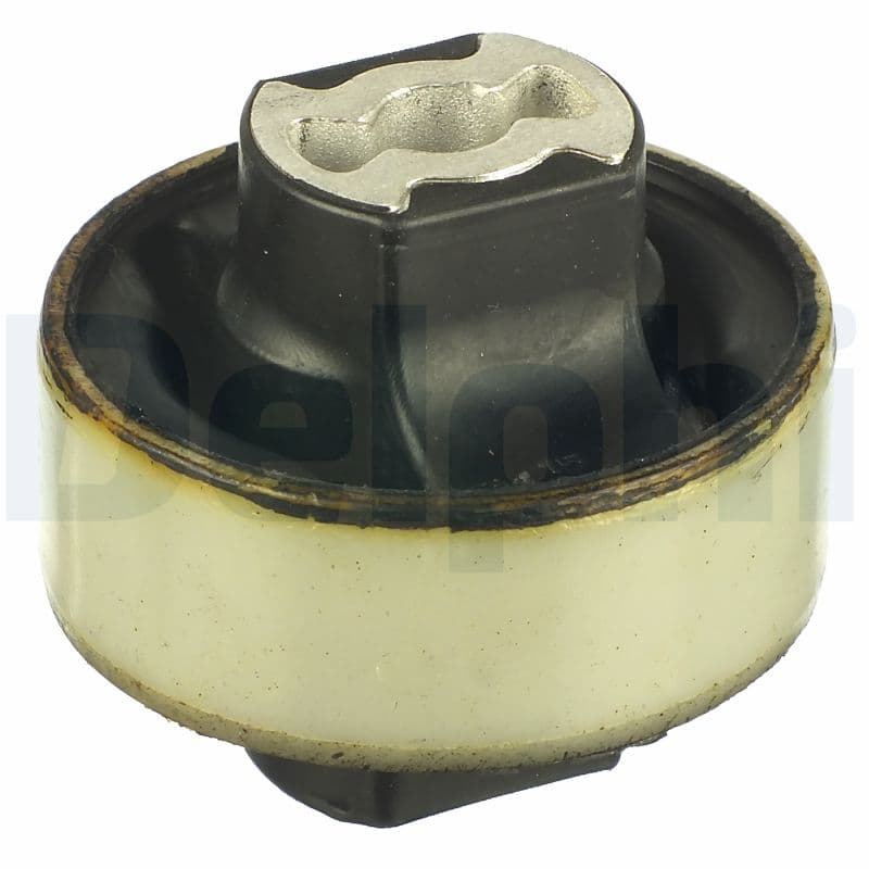 DELPHI Uloženie riadenia TD1109W 1