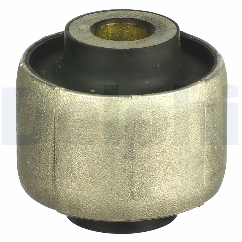 DELPHI Uloženie riadenia TD1111W 1