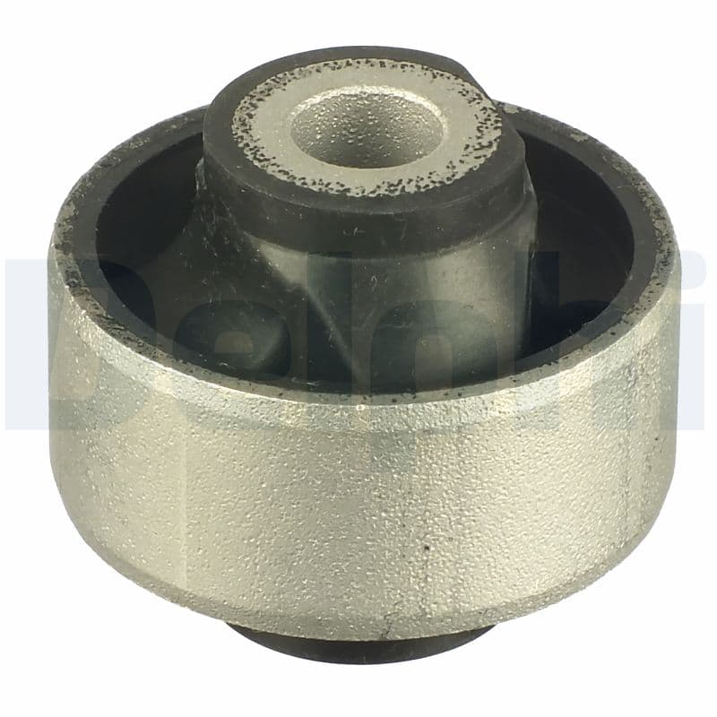 DELPHI Uloženie riadenia TD1113W 1