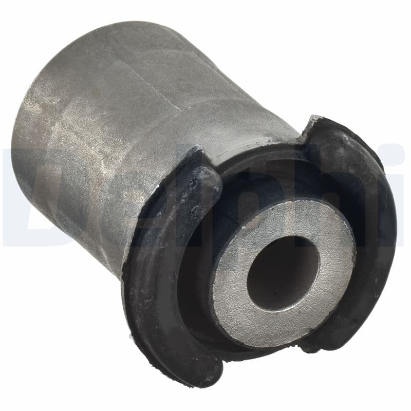 DELPHI Uloženie riadenia TD1117W 1