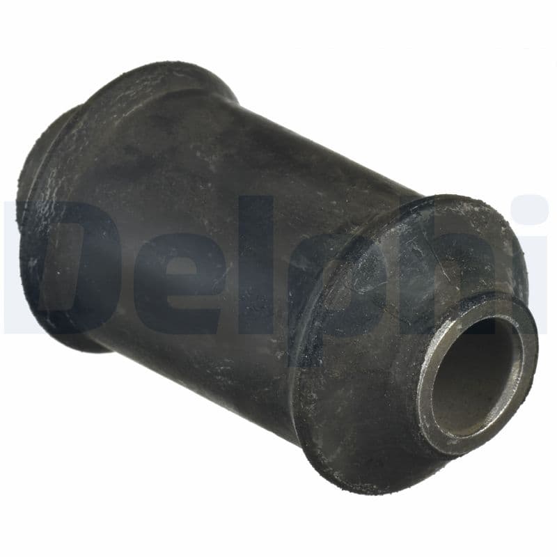 DELPHI Uloženie riadenia TD1121W 1
