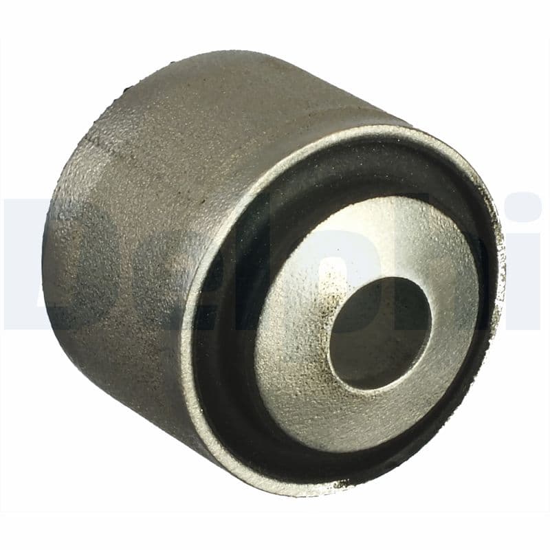 DELPHI Uloženie riadenia TD1123W 1