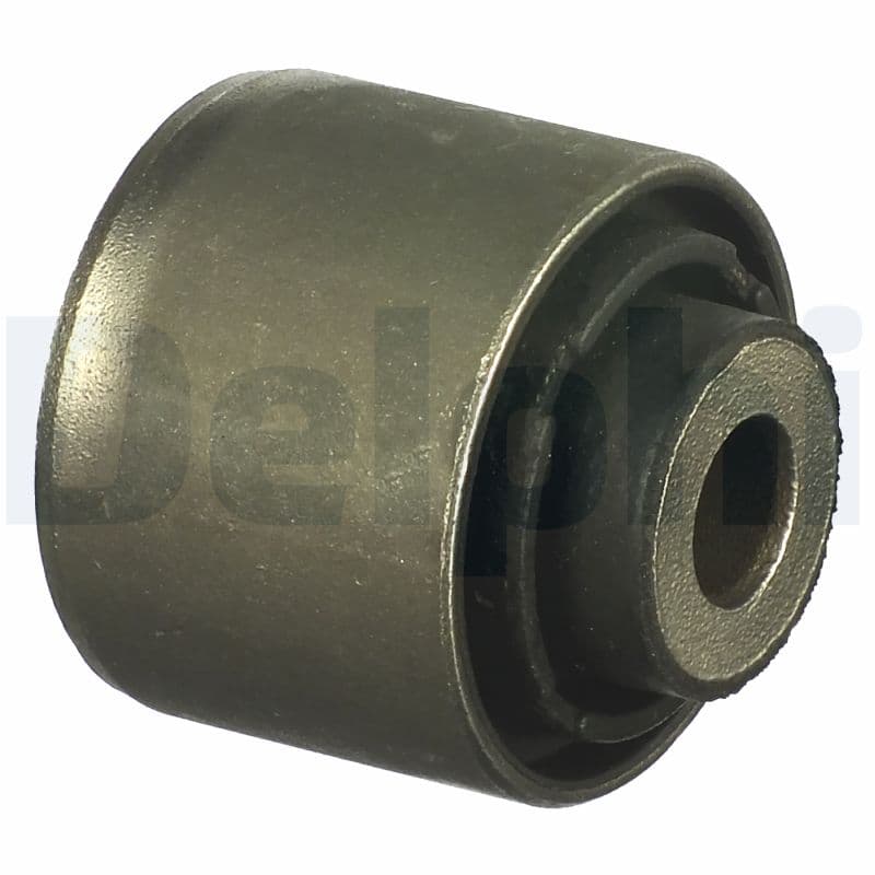 DELPHI Uloženie riadenia TD1124W 1
