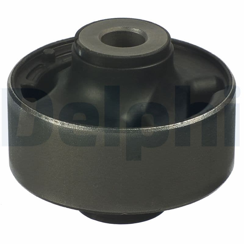 DELPHI Uloženie riadenia TD1137W 1