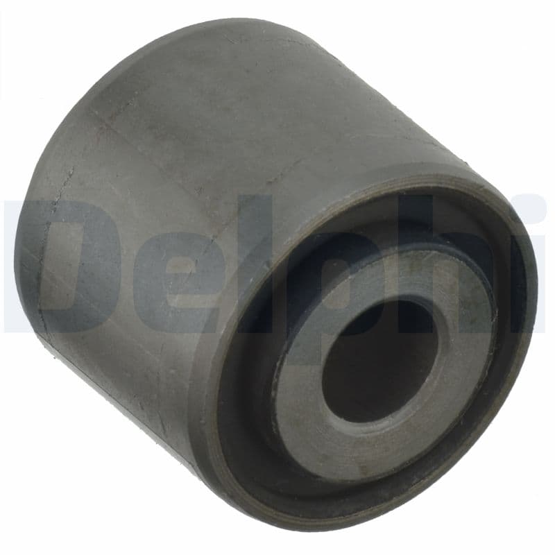 DELPHI Uloženie riadenia TD1155W 1
