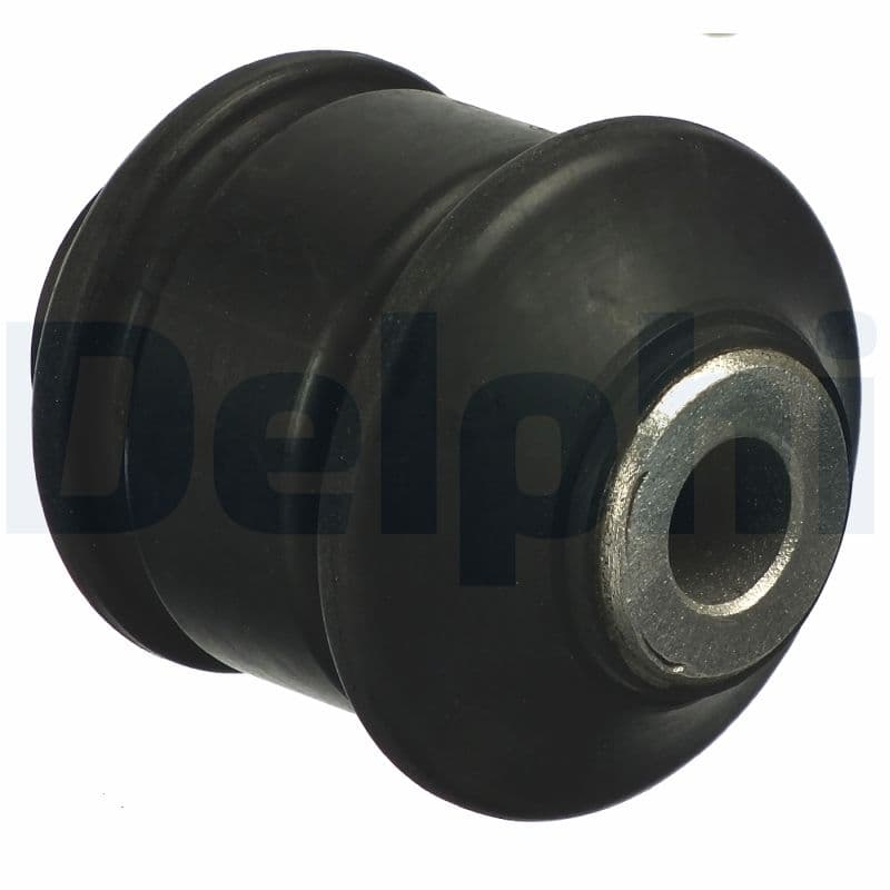 DELPHI Uloženie riadenia TD1246W 1