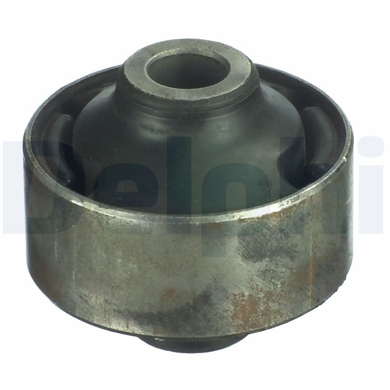 DELPHI Uloženie riadenia TD1253W 1