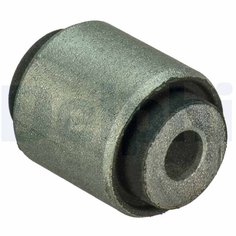 DELPHI Uloženie riadenia TD1301W 1